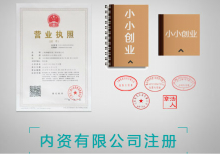 内资有限公司注册